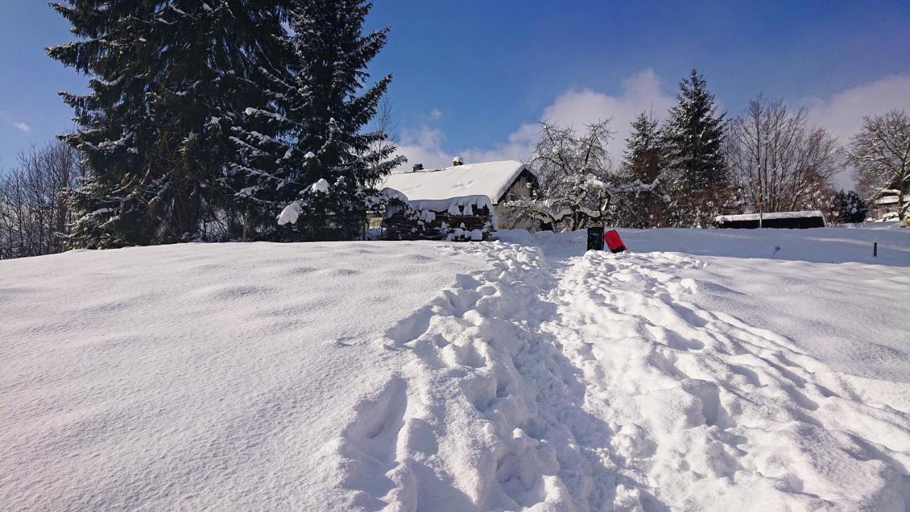 Chalupa kde bejval krám ★ sauna ★ kulečník ★ pinec Vysoké nad Jizerou Exterior foto